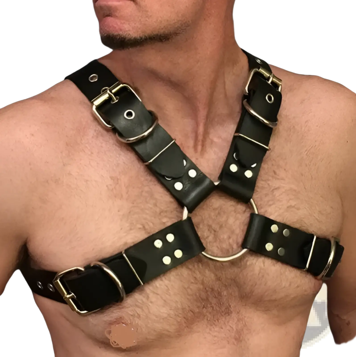 Leather Harness with Silver Buckles for Adults