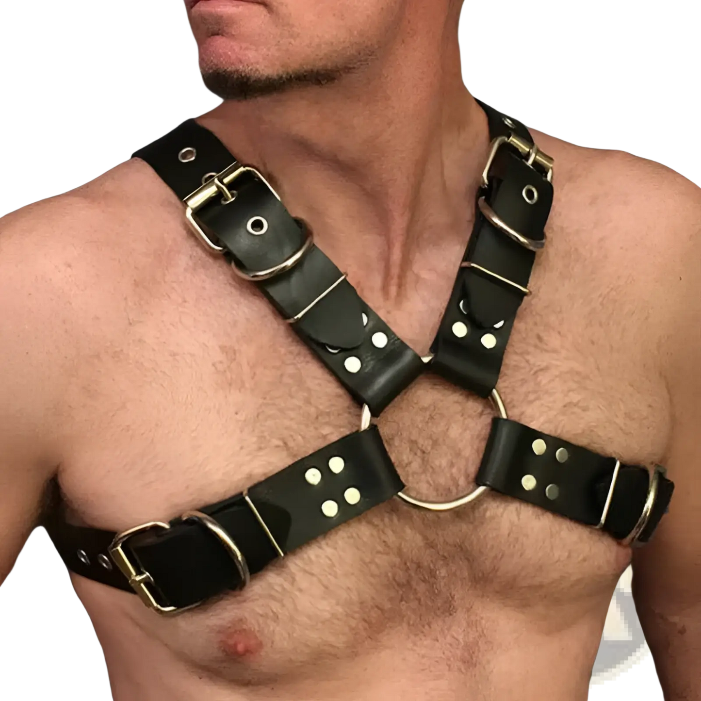 Leather Harness with Silver Buckles for Adults