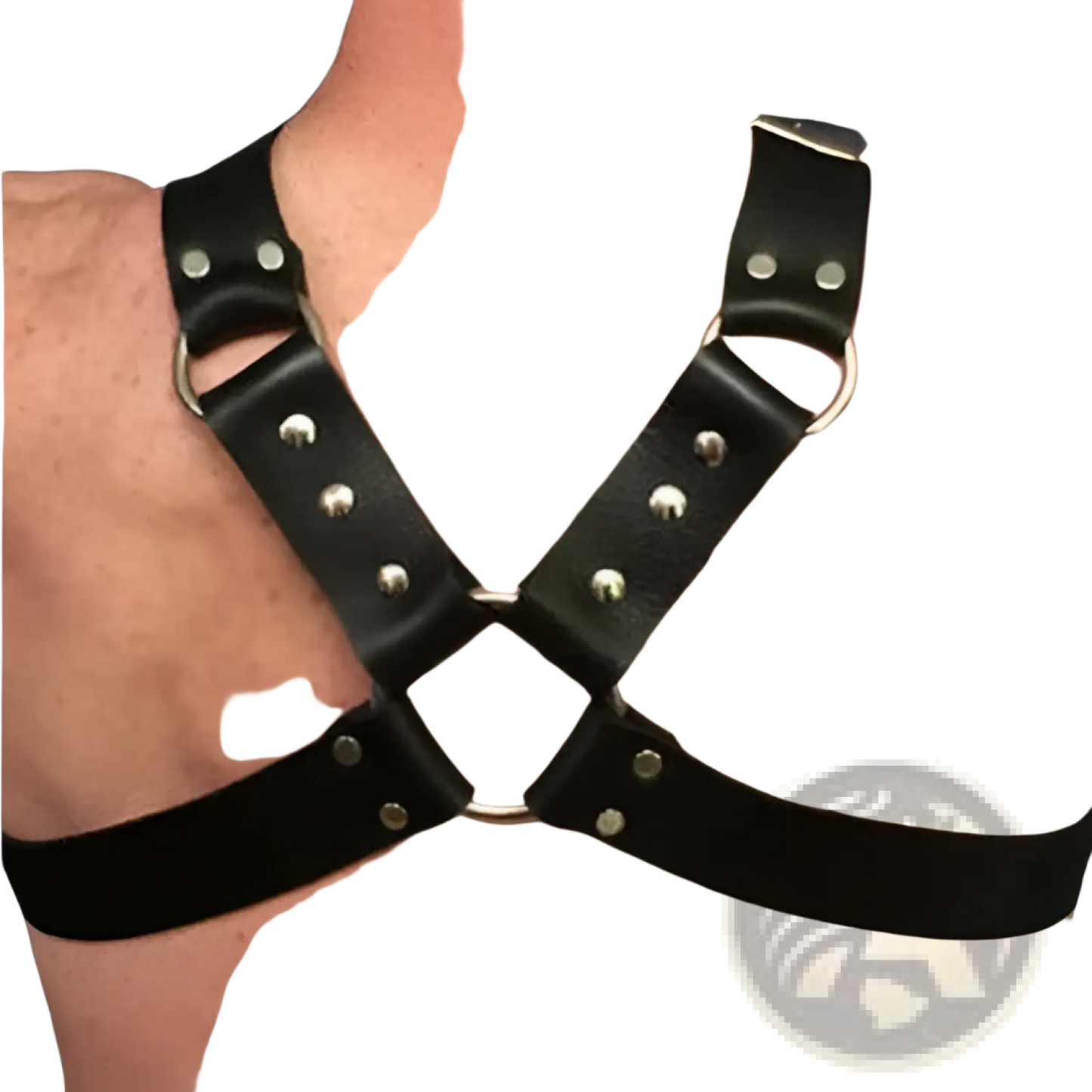 Leather Harness with Silver Buckles for Adults
