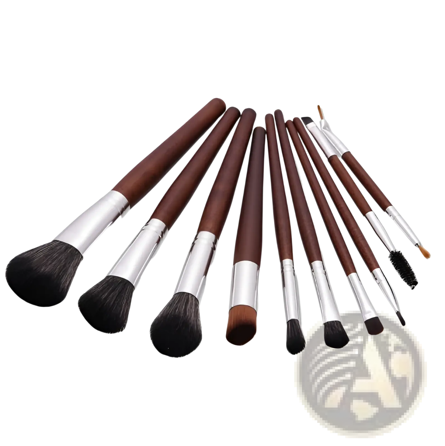 Makeup Brush Set 10 Piece Professional Silver Wood