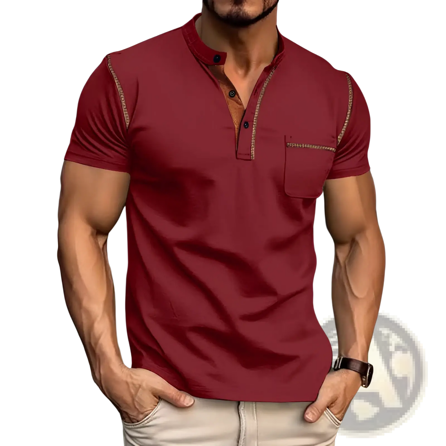 Men's Slim Fit Short Sleeve Henley and Polo Shirts