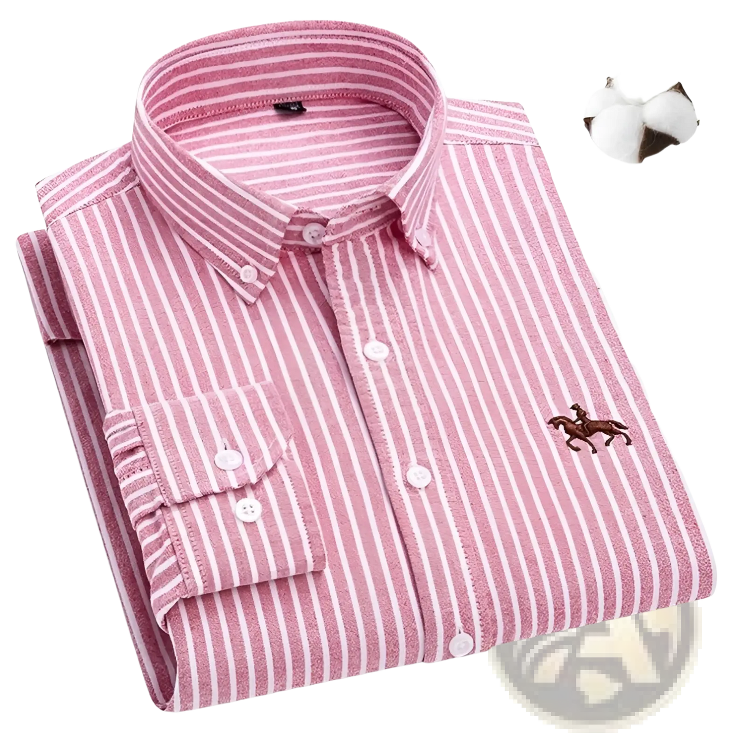Men's Striped Cotton Embroidered Button Down Shirt