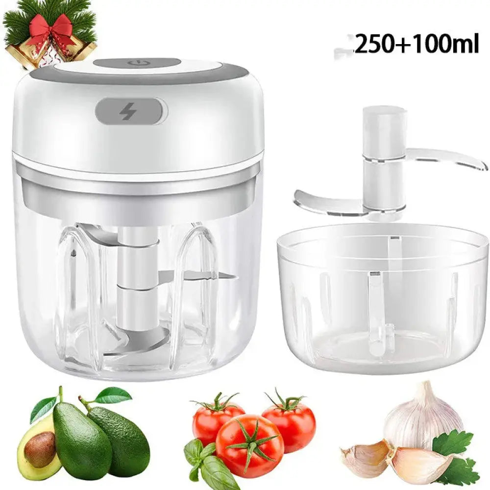 Usb Electric Mini Food Chopper and Garlic Mincer