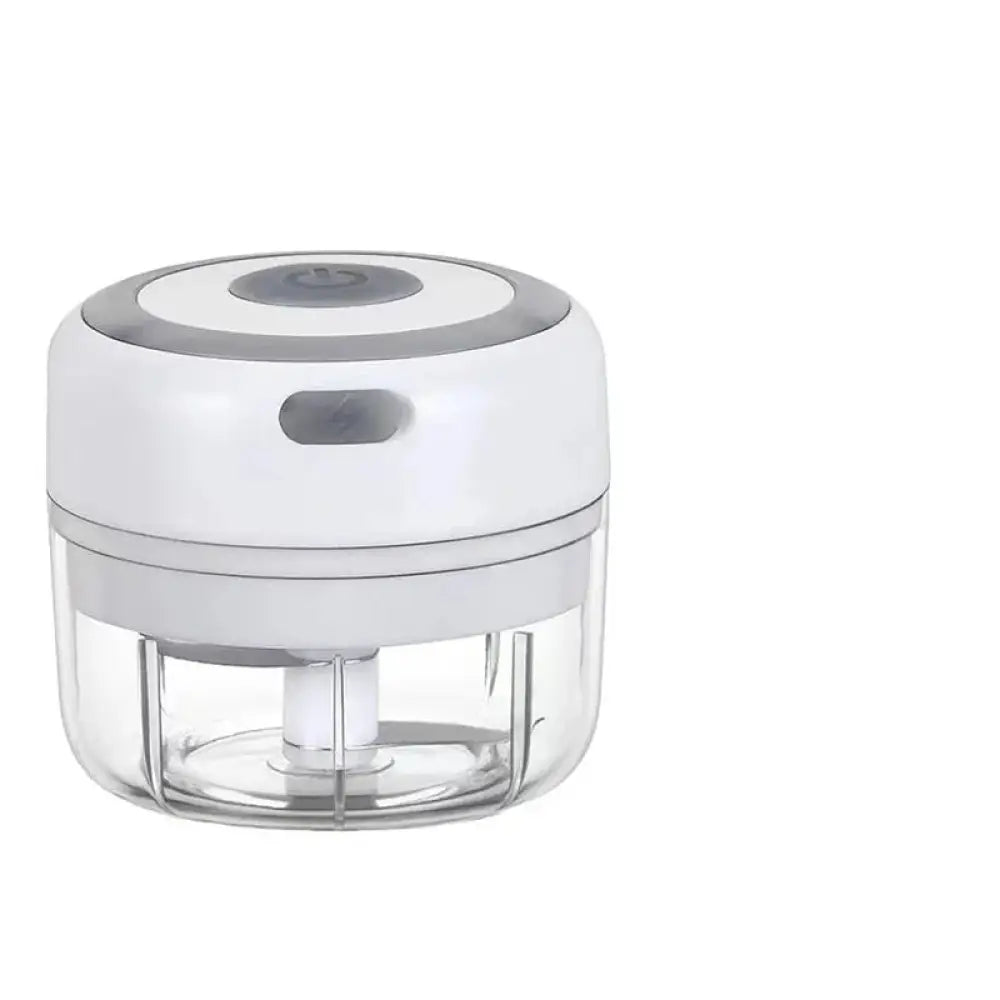 Usb Electric Mini Food Chopper and Garlic Mincer