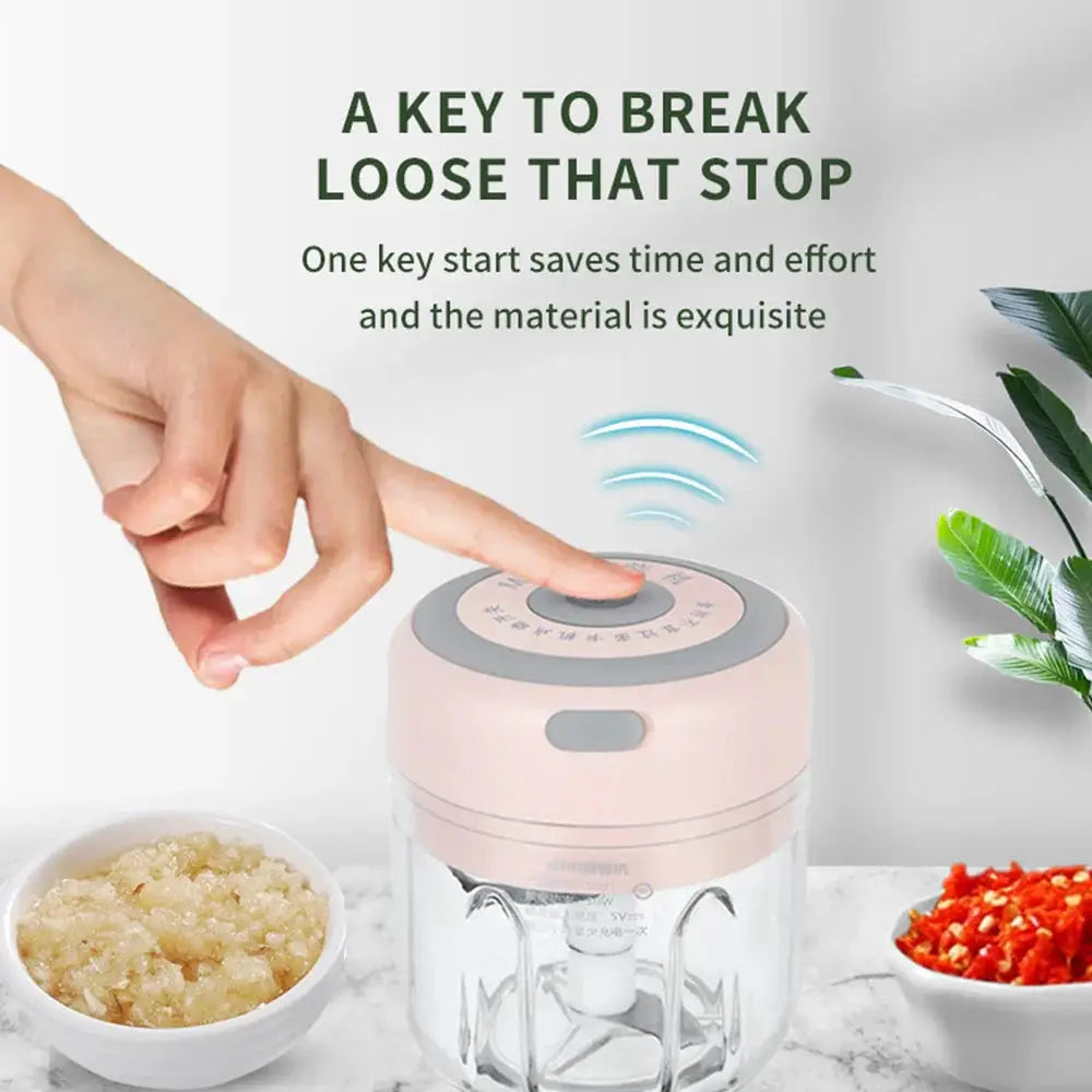 Usb Electric Mini Food Chopper and Garlic Mincer