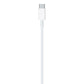 Apple लाइटनिंग मेल टू USB टाइप-C मेल केबल (2 m)