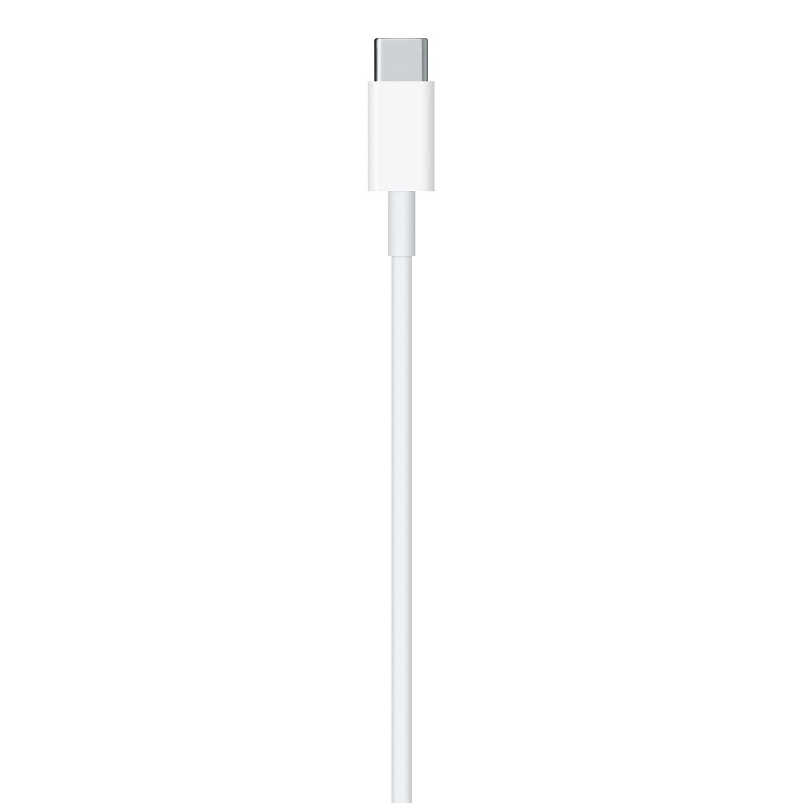 Apple लाइटनिंग मेल टू USB टाइप-C मेल केबल (2 m)