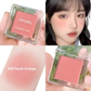 Monochrome Powder Blush Compact with Brush 4 Colors