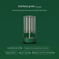 Rechargeable Led Filament Camping Lantern with Type-c Charging
