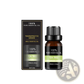 Organic Essential Oils Set 10ml Aromatherapy Gift Kit