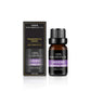 Organic Essential Oils Set 10ml Aromatherapy Gift Kit