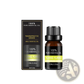Organic Essential Oils Set 10ml Aromatherapy Gift Kit