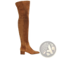 Over the Knee Suede Boots with Low Block Heel