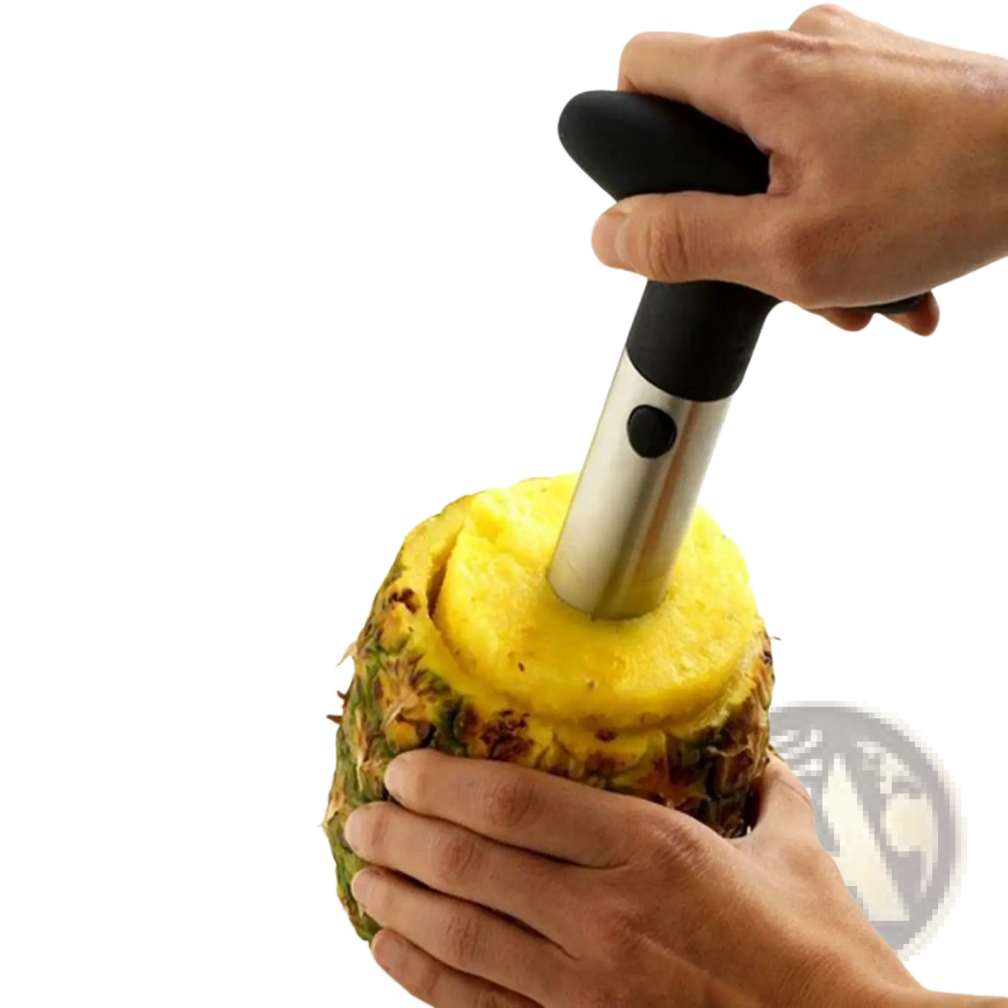Pineapple Peeler Stainless Steel Corer and Slicer Tool