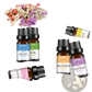 Pure Aromatherapy Essential Oil 10ml Therapeutic Grade