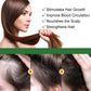 Rosemary Essential Oil for Hair Growth 60ml Ouhoe