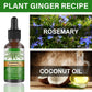 Eelhoe Rosemary Essential Oil for Hair Growth and Scalp Care
