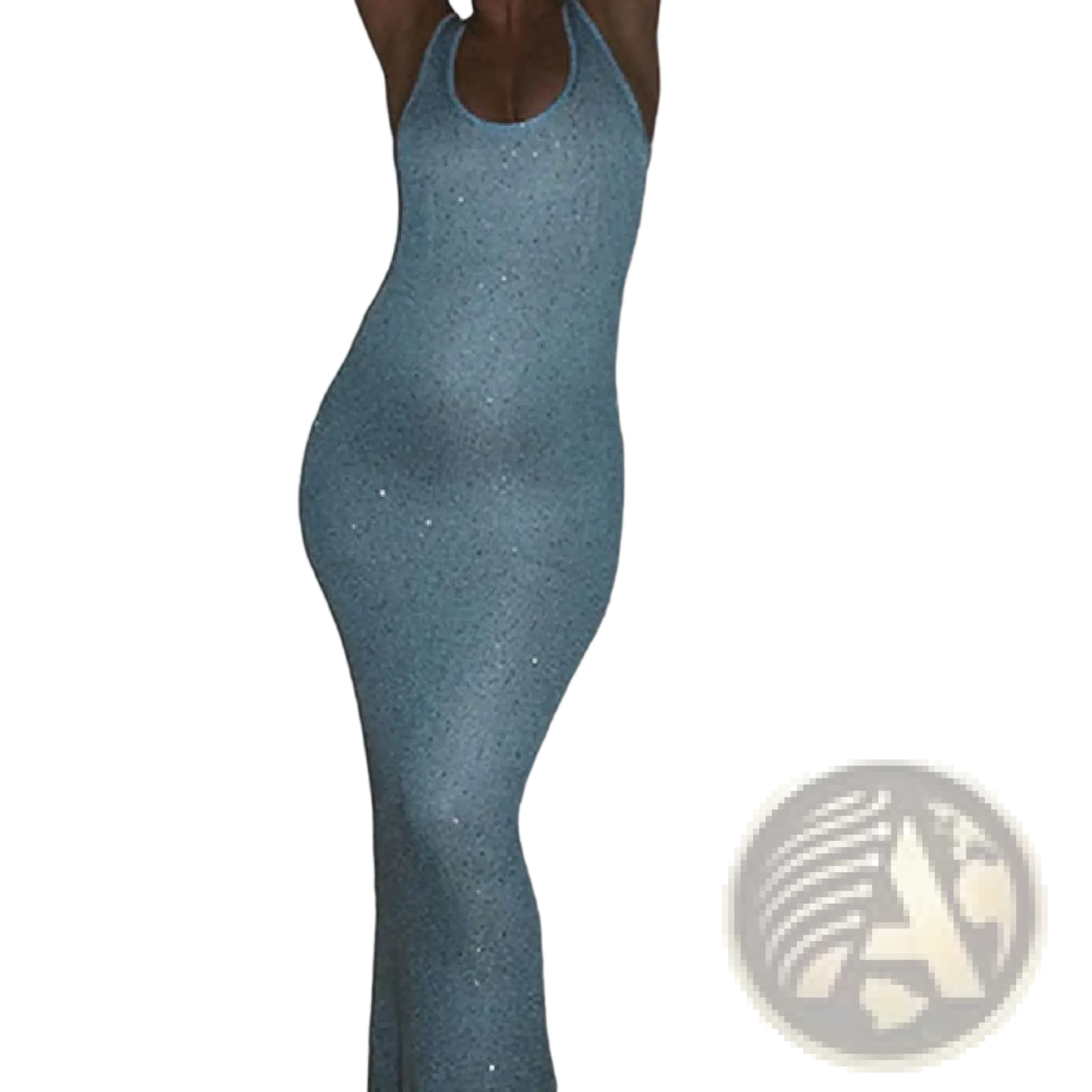 Sequin Knit Sleeveless Bodycon Maxi Dress