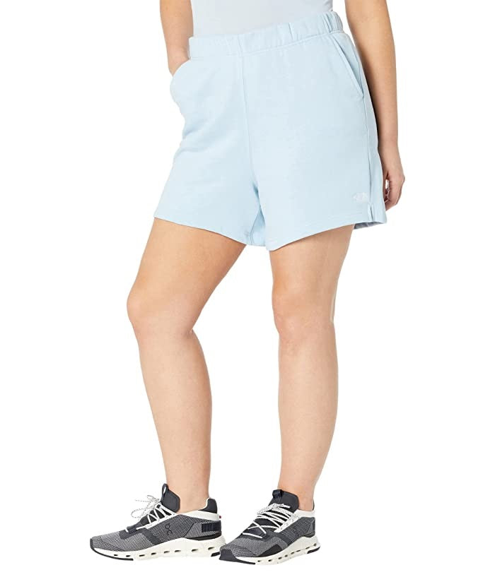 The North Face Women's Half Dome Logo Shorts Blue Size 2X