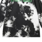 WeSC Men's Kendrick Anxiety Release Tie Dye Cotton Graphic Tee Black Size Small