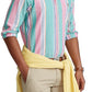 Polo Ralph Lauren Men's Classic Fit Striped Oxford Shirt Pink Size Large