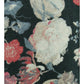 Lucky Brand Women's Cotton Printed T-Shirt Black Multi Size Medium
