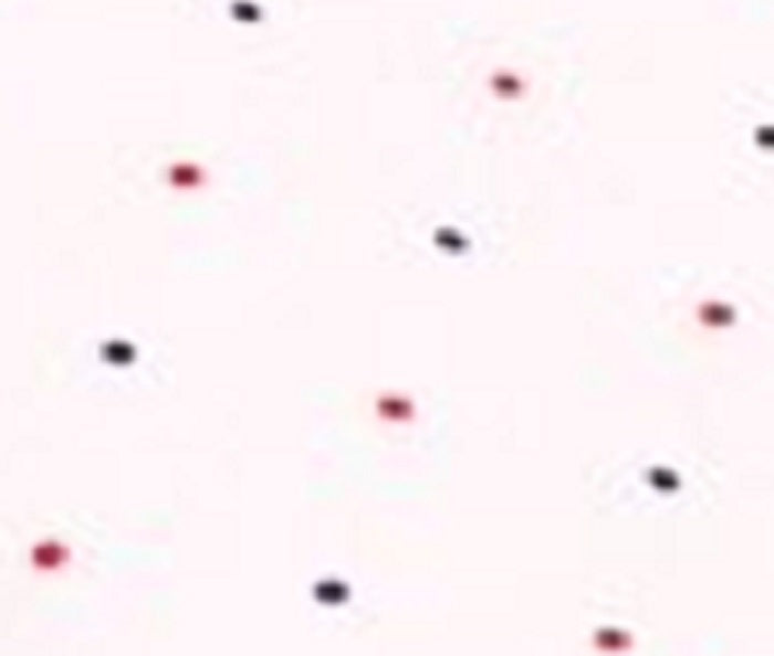 Designer Brand Men's One Wellington Polka Dot Pocket Square White Size Regular