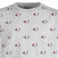 Champion Little Boy's Printed T-Shirt Gray Size 4