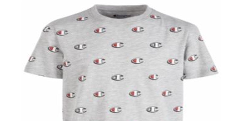 Champion Little Boy's Printed T-Shirt Gray Size 4