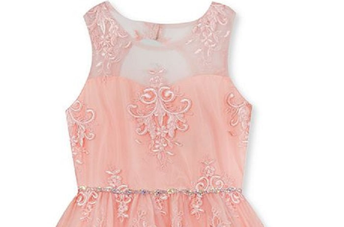 Rare Editions Big Girl's Lace Illusion Dress Pink Size 14