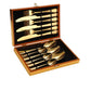 Premium Stainless Steel Steak Cutlery Set in Wooden Box
