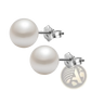 Sterling Silver Freshwater Pearl Stud Earrings