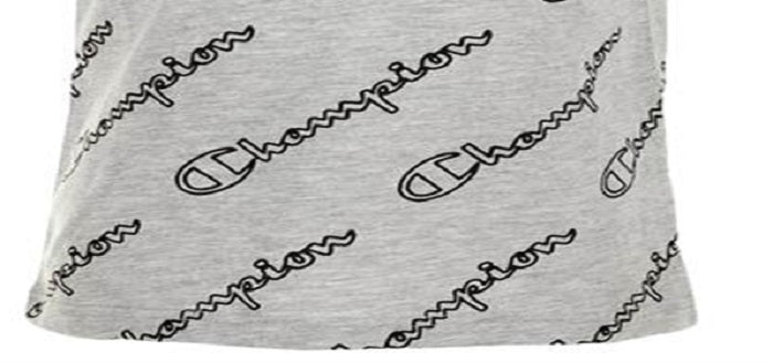 Champion Little Boy's Allover Open Script T-Shirt Gray Size 6