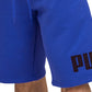 Puma Men's Big Fleece Logo Shorts Blue Size Large