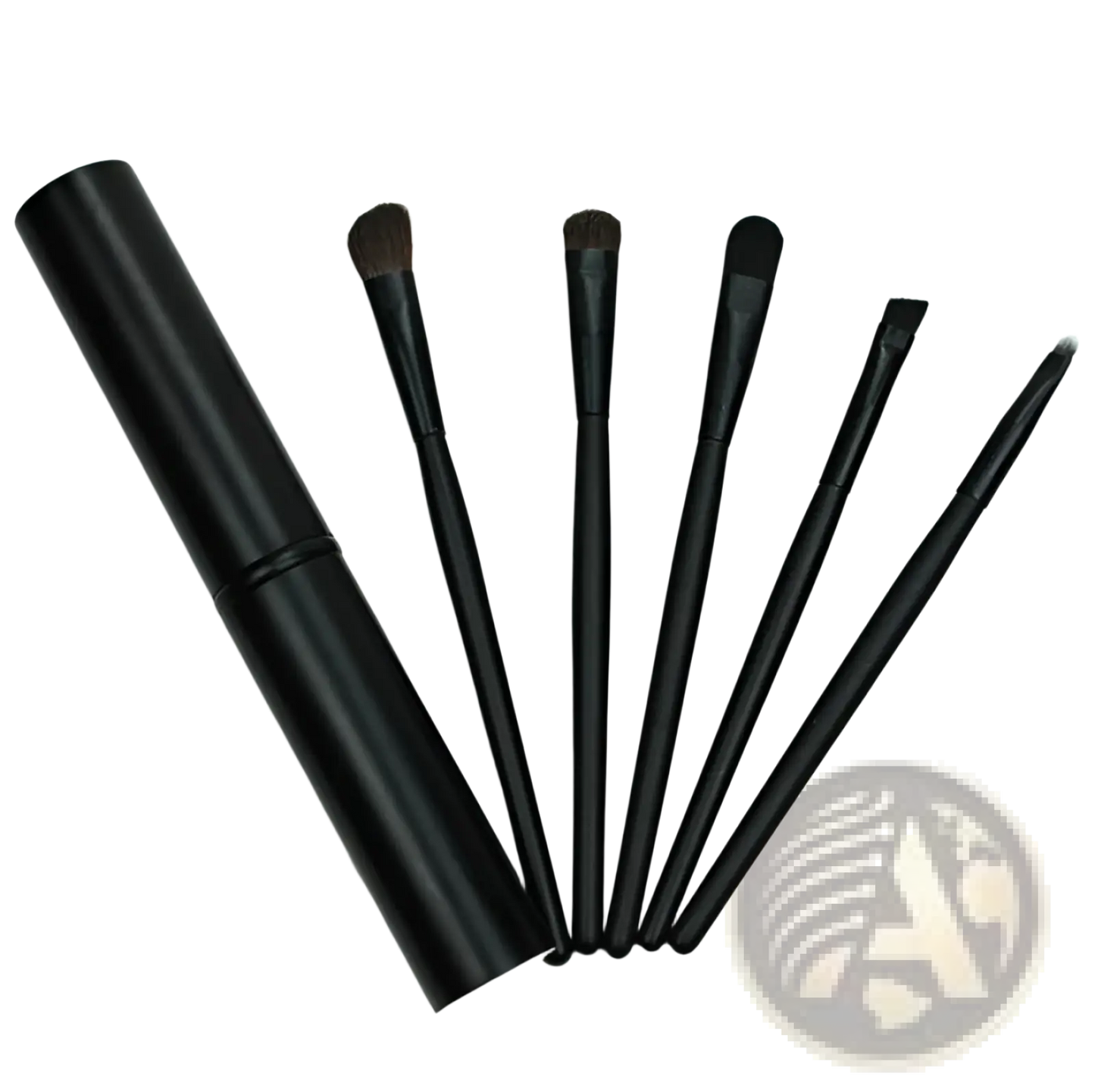 Travel Eye Makeup Brush Set with Portable Case
