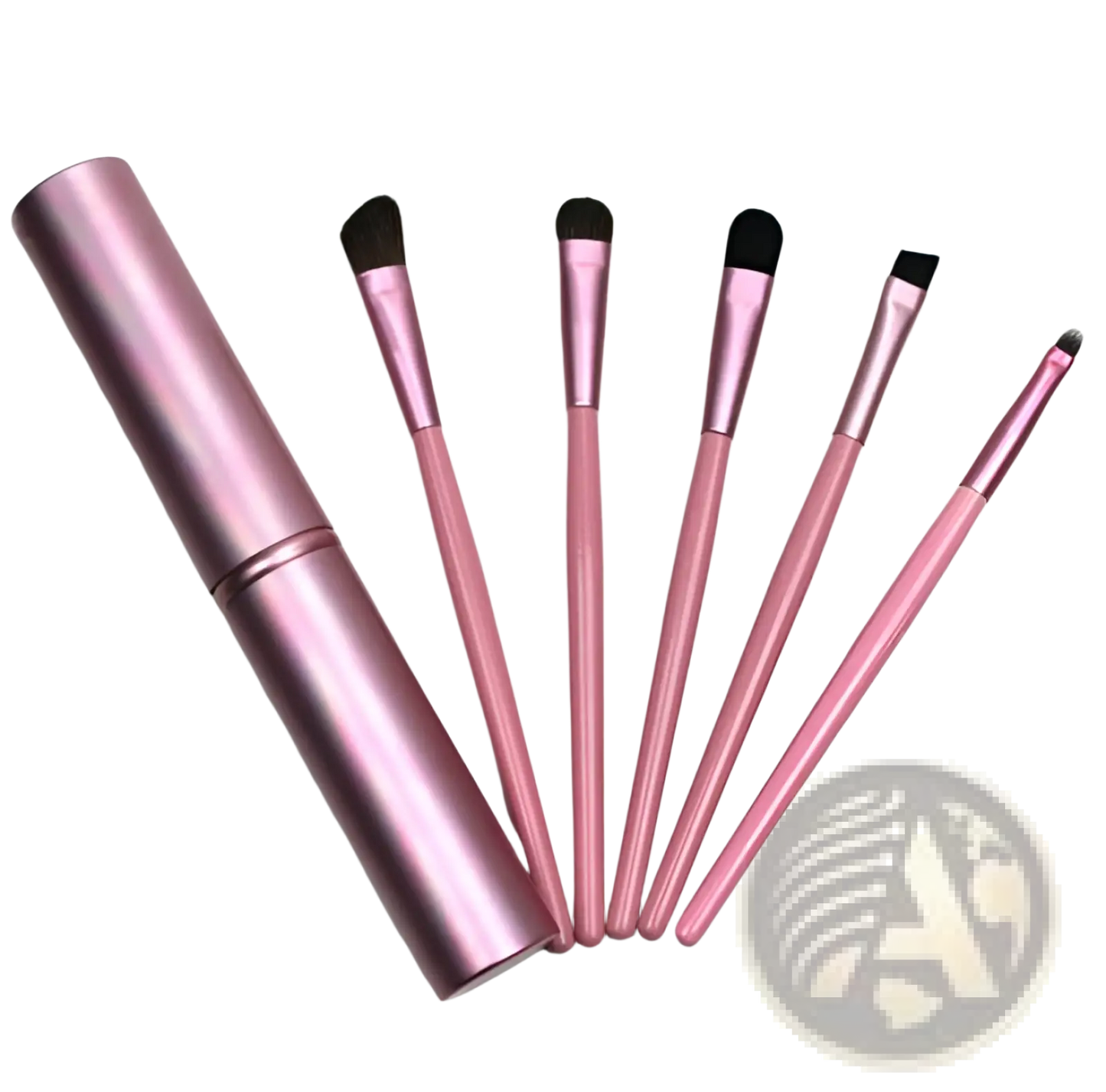 Travel Eye Makeup Brush Set with Portable Case