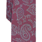 Bar III Men's Glenn Pine Paisley Skinny Tie Red Size Regular