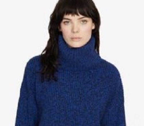 Sanctuary Women's The Roll Neck Sweater Web Blue/Black Black Size X-Large