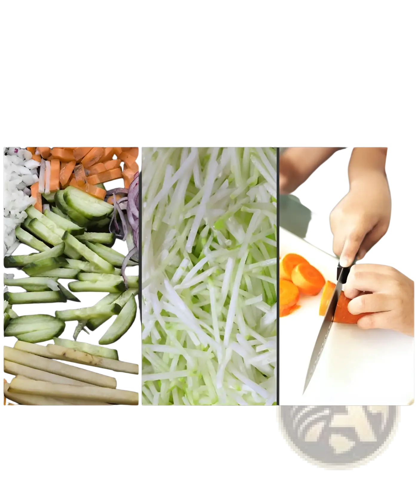 Vegetable Slicer Mandoline Grater with Blades