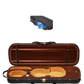 Violin Case 4/4 Full Size Lightweight Oblong Hard Bag