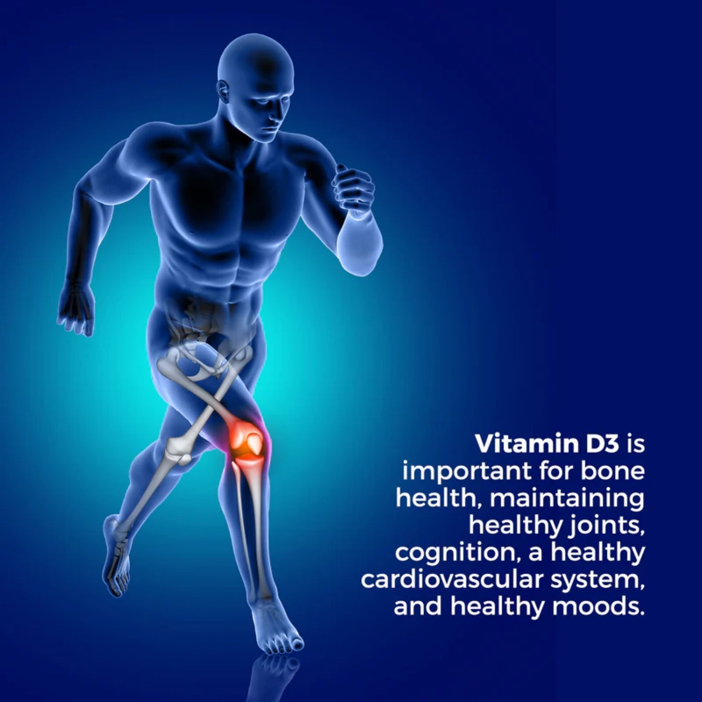 Vital Remedy MD Vitamin D3, 5000 IU Vegetarian - 90 capsules