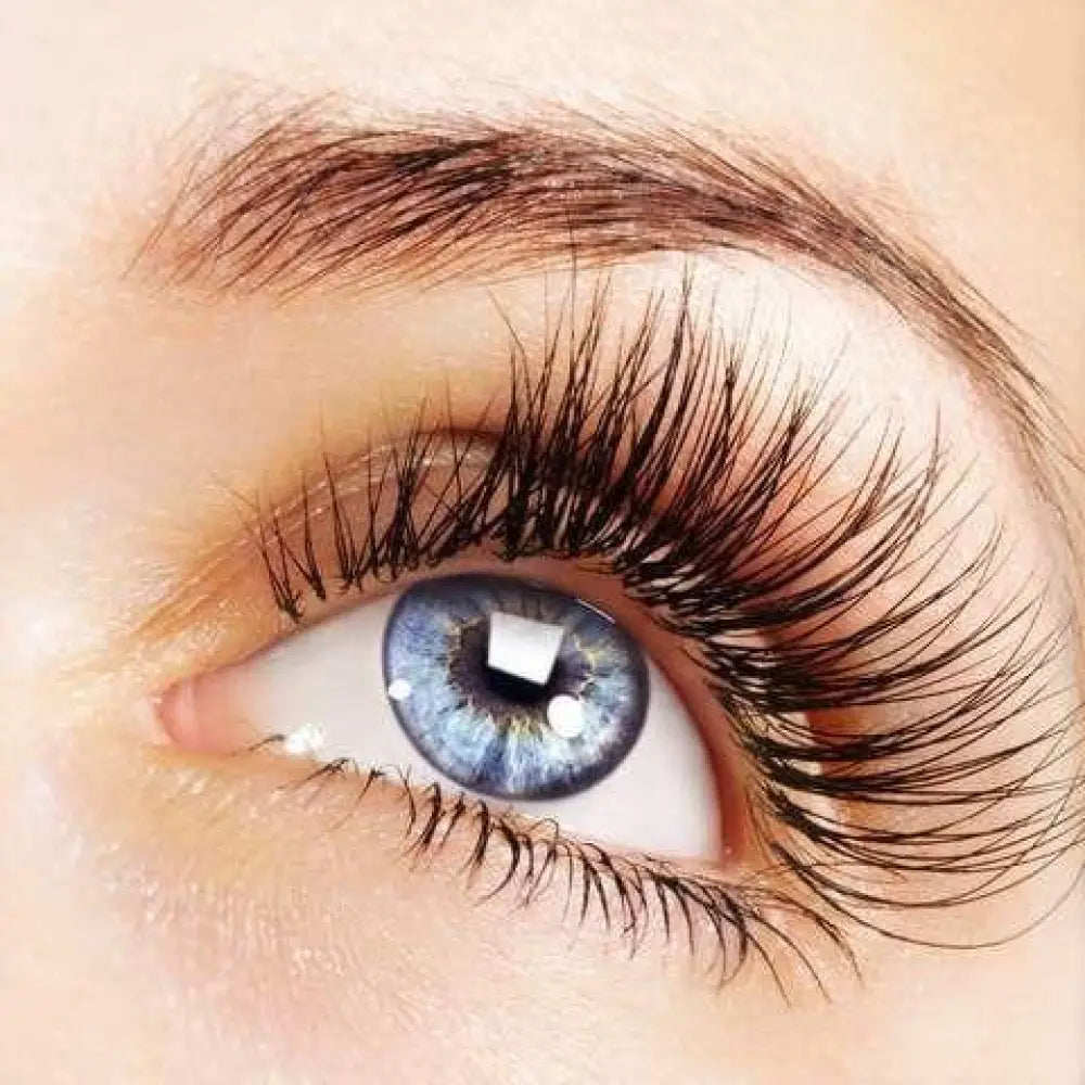 Phoera Volumizing and Lengthening Smudge Proof Mascara 3g